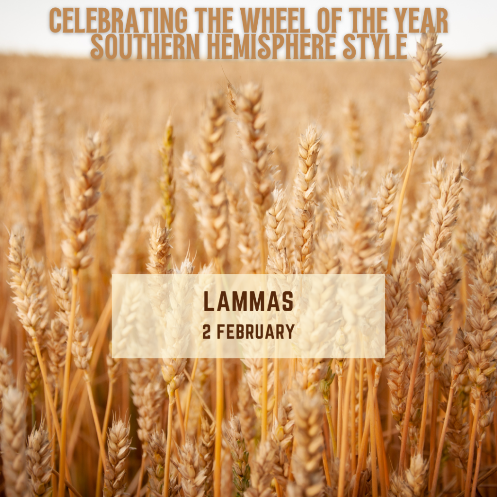 Photo of a field of wheat with text that reads "Celebrating the Wheel of the Year. Southern Hemisphere Style. Lammas. 2 February."