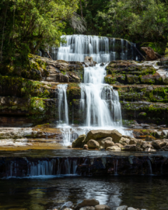 Liffey Falls Tasmania surrounded by green forest in summer.