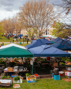 Tasmanian summer market with stalls and people browsing handmade crafts.