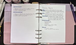 Goal tracker pages with milestones and reflection notes.